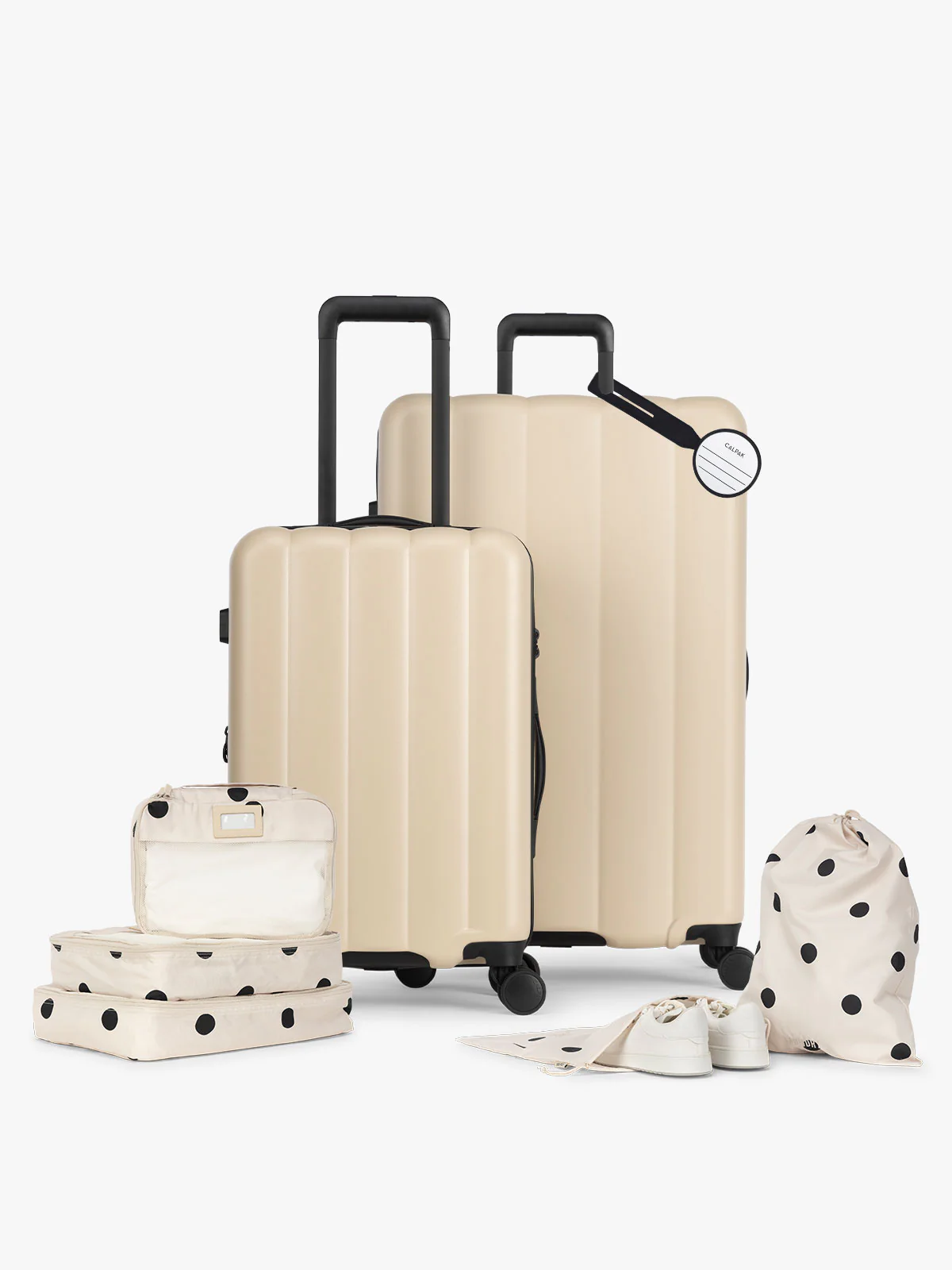 Evry Starter Bundle - Image 51